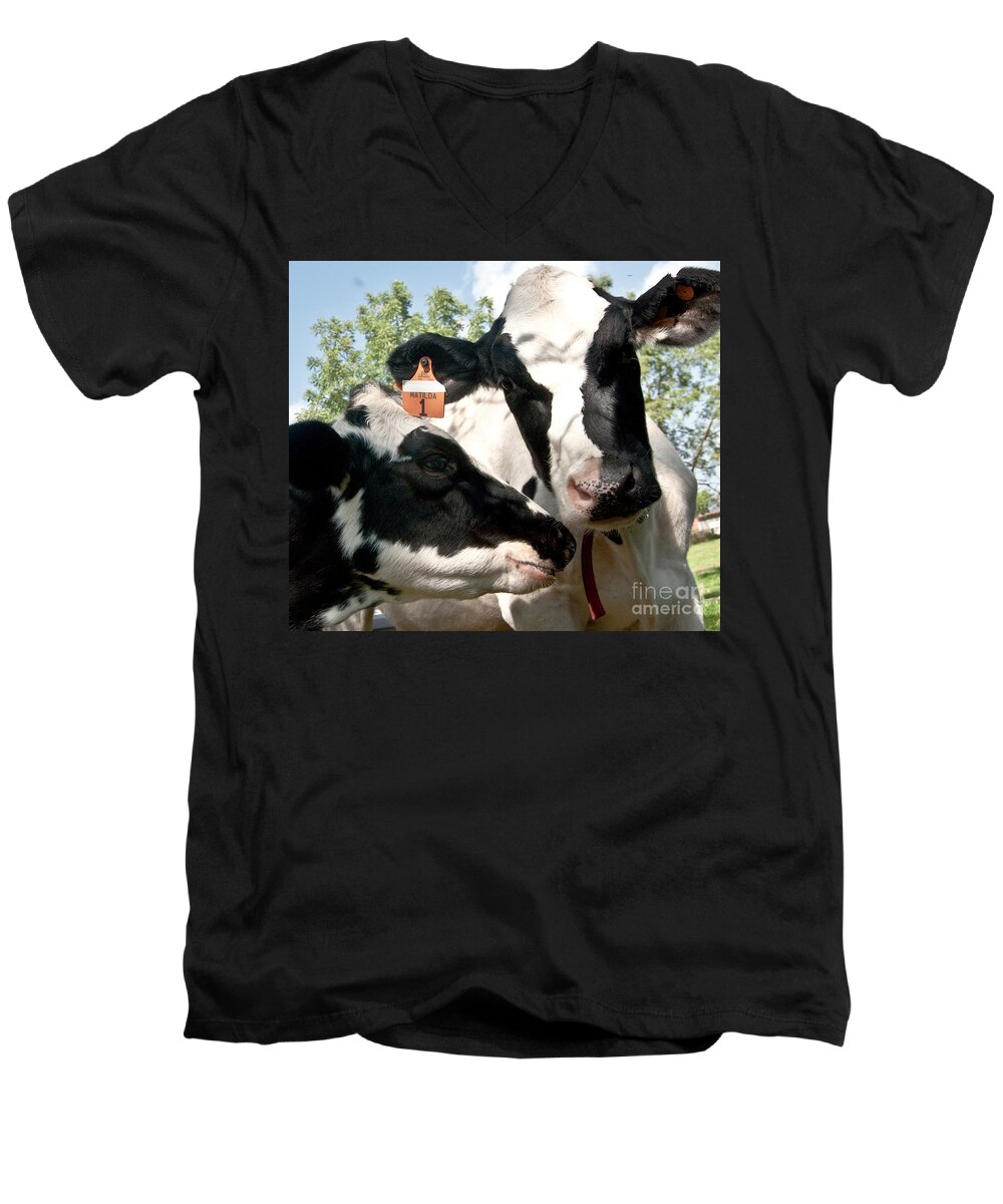 Cow Digital Photography Men's V-Neck T-Shirt featuring the digital art Zoey and Matilda by Danielle Summa