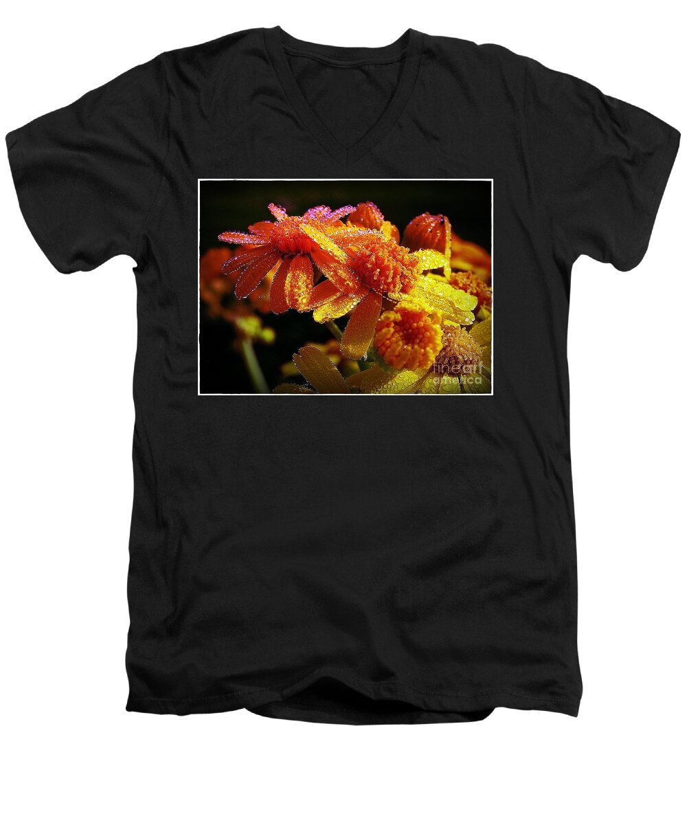 Daisies Men's V-Neck T-Shirt featuring the photograph Dewdrops on Daisies by Judi Bagwell