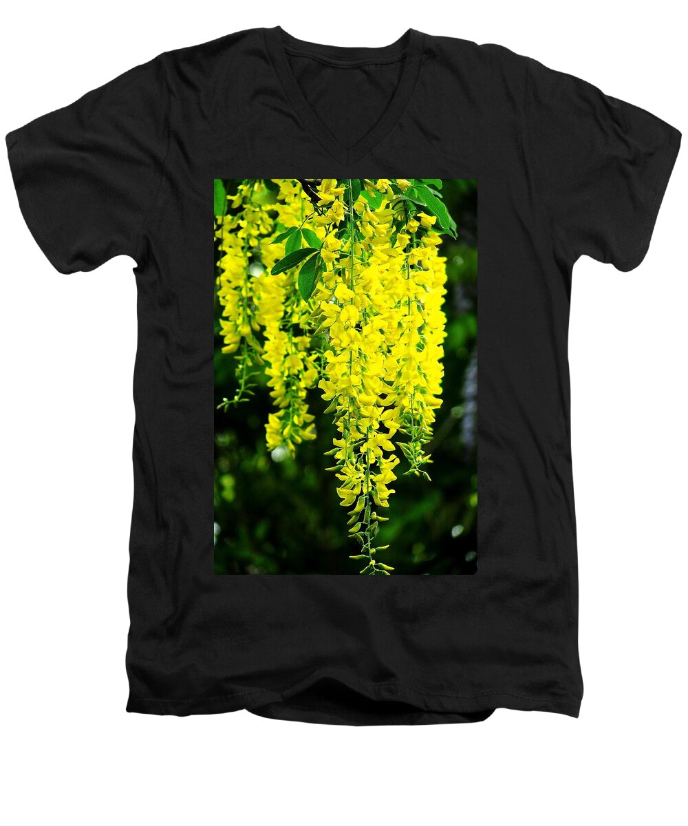 Yellow Men's V-Neck T-Shirt featuring the photograph Golden Chain Tree by Jeff Heimlich