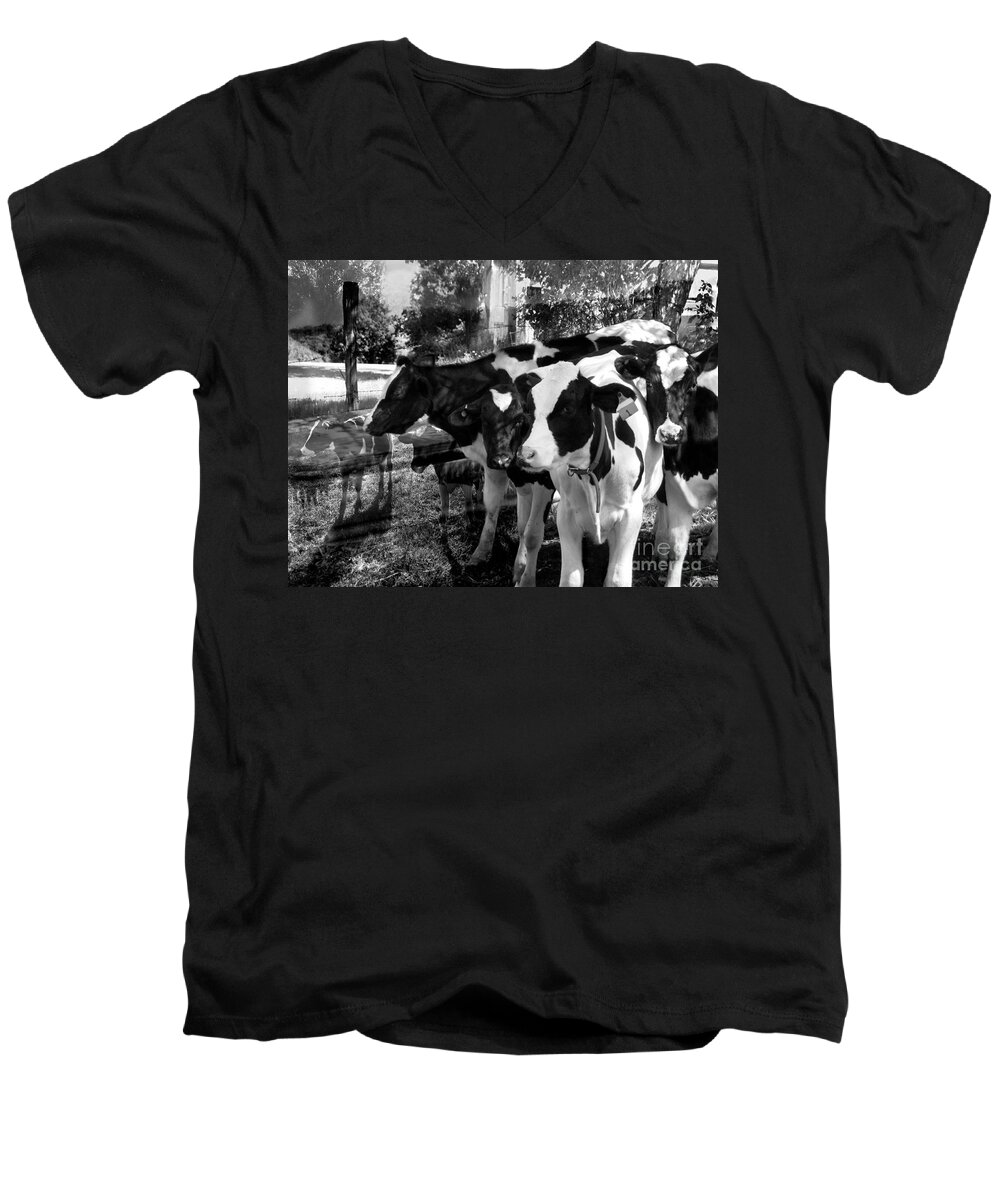 Agriculture Men's V-Neck T-Shirt featuring the photograph Spending Quality Time Together is Important by Danielle Summa