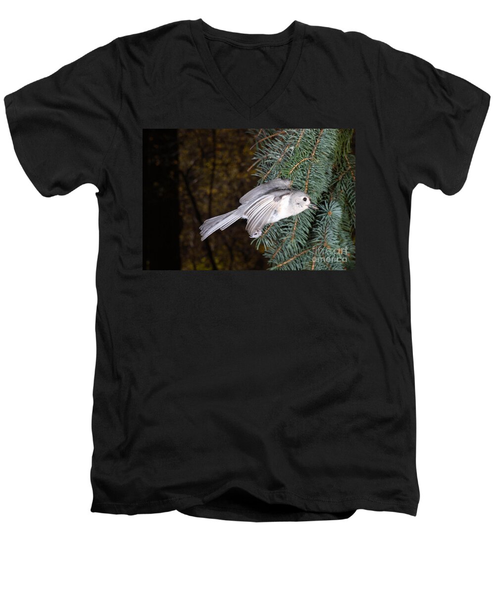 Tufted Titmouse Men's V-Neck T-Shirt featuring the Tufted Titmouse In Flight #15 by Ted Kinsman