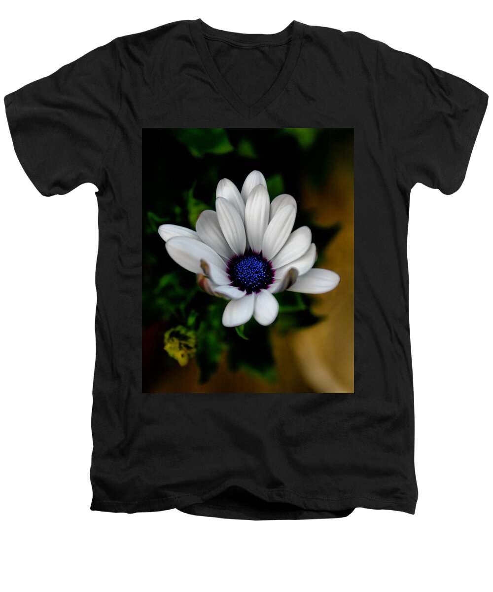 Flower Men's V-Neck T-Shirt featuring the photograph African Daisy by Lynne Jenkins