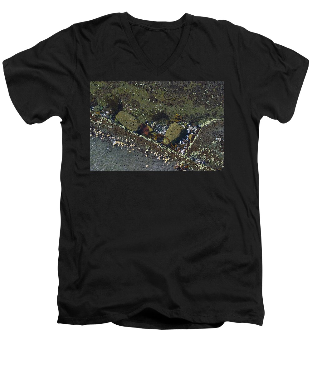Rocks Men's V-Neck T-Shirt featuring the photograph Barnacles And Rocks by David Kleinsasser