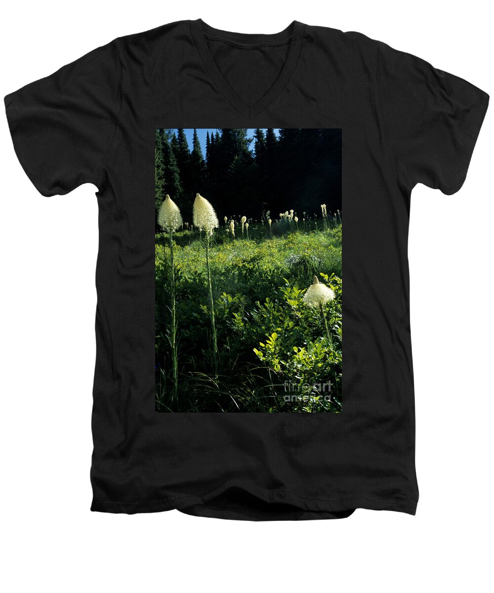 Bear-grass Men's V-Neck T-Shirt featuring the photograph Bear-grass II by Sharon Elliott