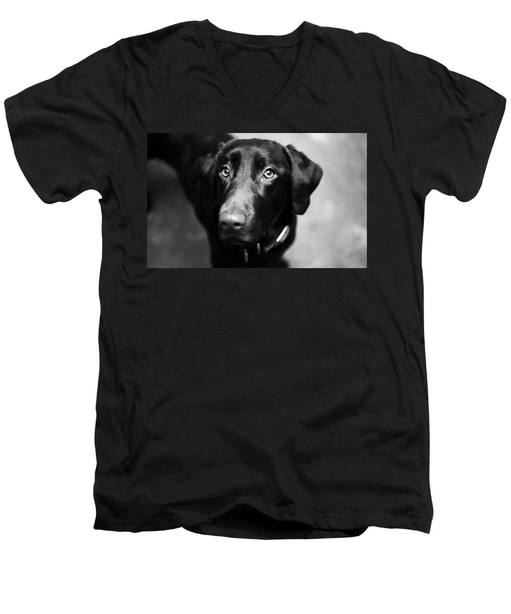 Dog Men's V-Neck T-Shirt featuring the photograph Black labrador by Sumit Mehndiratta