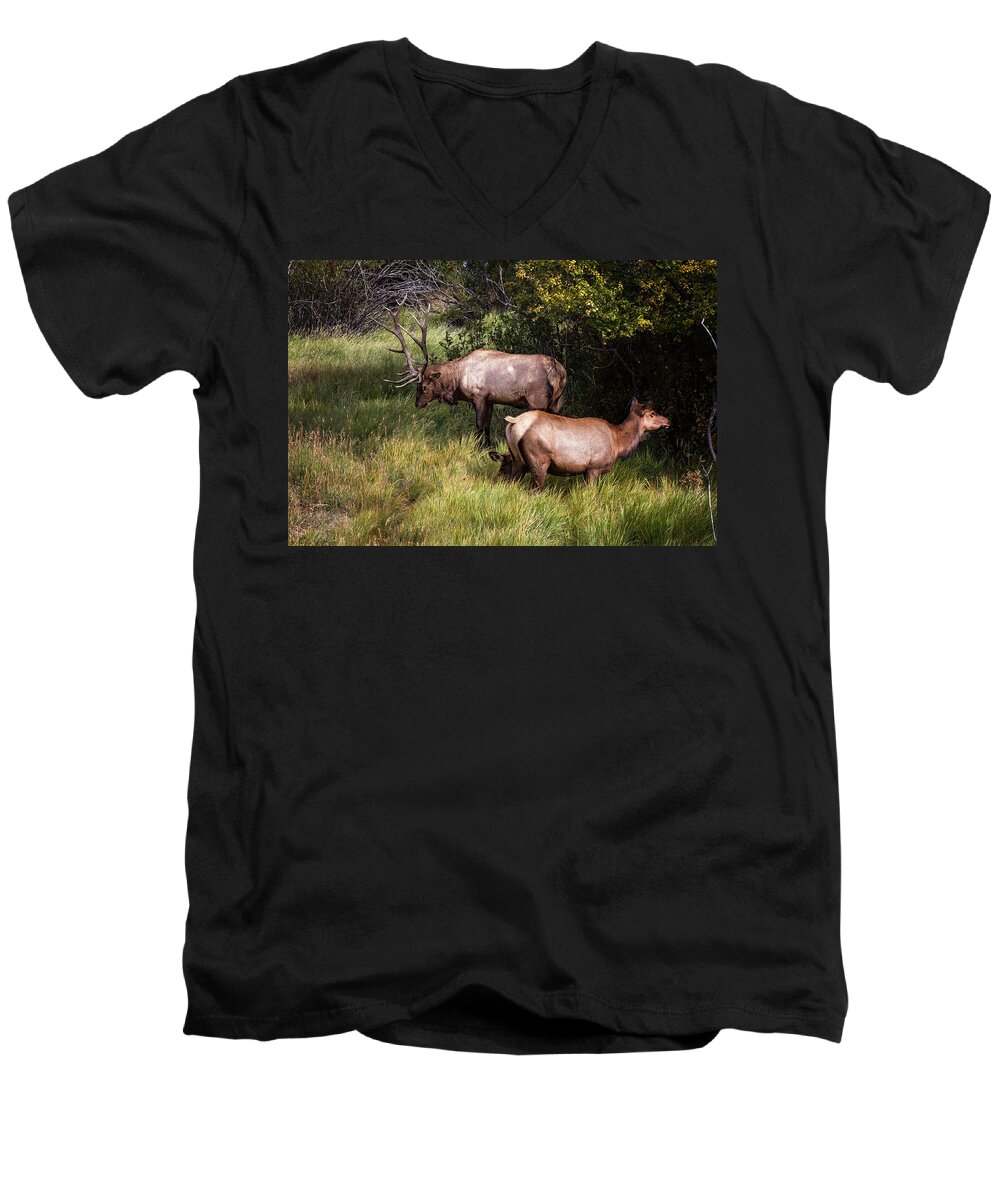 2012 Men's V-Neck T-Shirt featuring the photograph Bull Elk 7X7 by Ronald Lutz