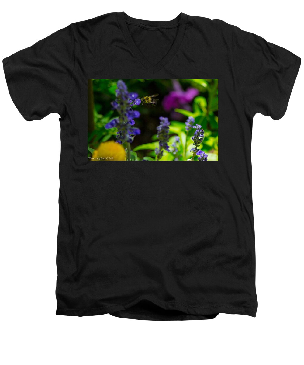 Bumble Bee Men's V-Neck T-Shirt featuring the photograph Buzzing Around by Shannon Harrington