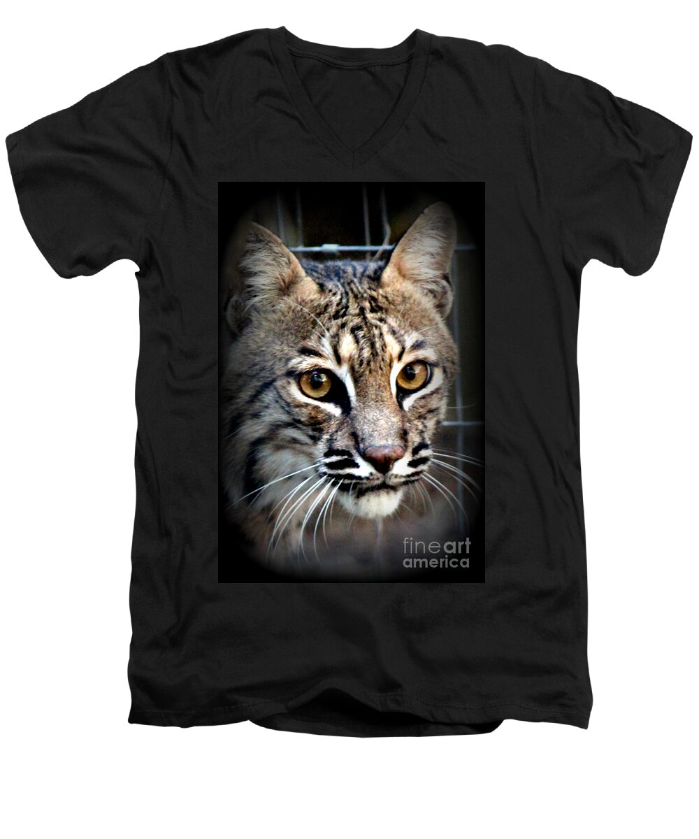 Wild Animals Men's V-Neck T-Shirt featuring the photograph Cat Fever by Kathy White