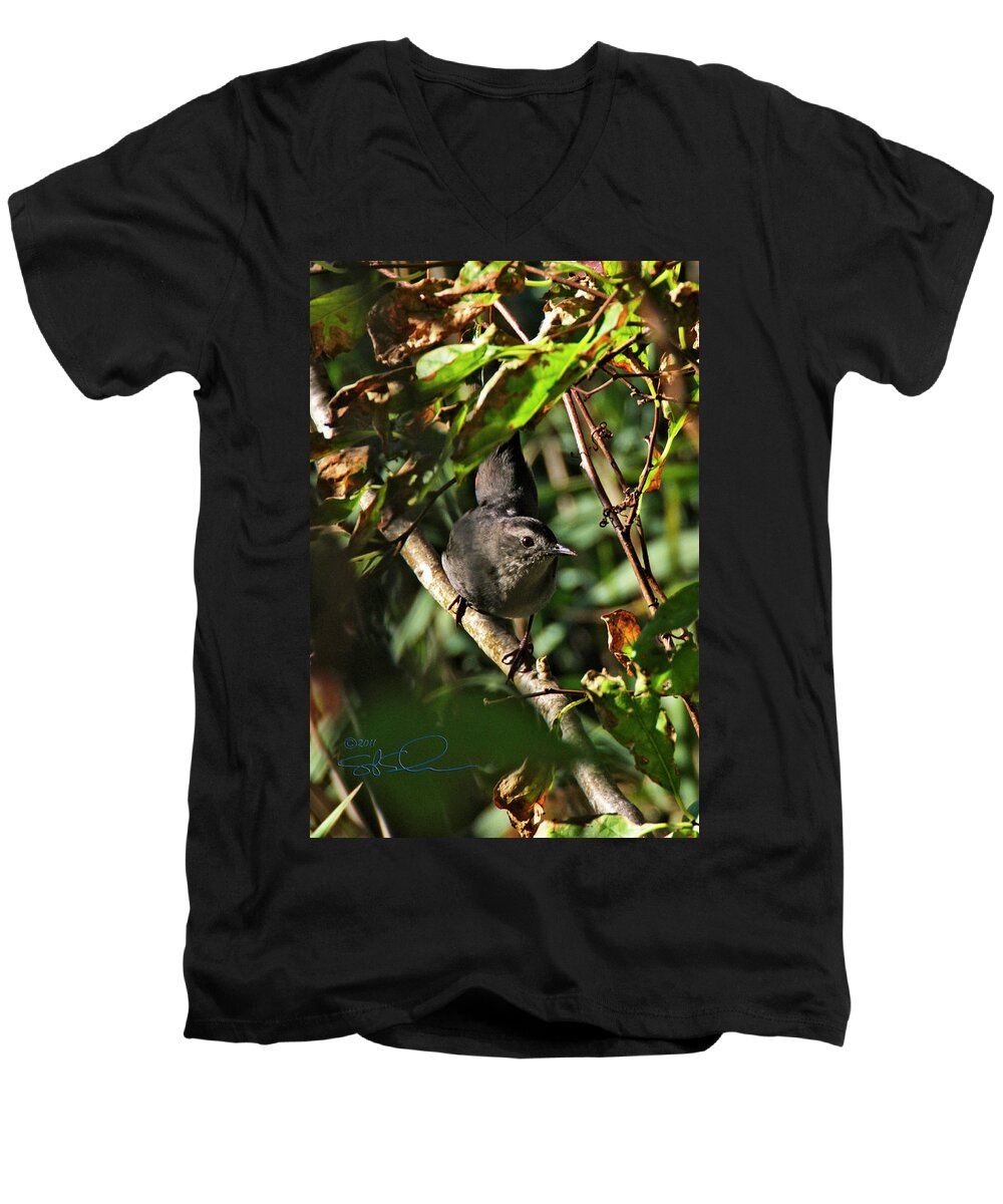 Gray Catbird Men's V-Neck T-Shirt featuring the photograph Catbird by S Paul Sahm