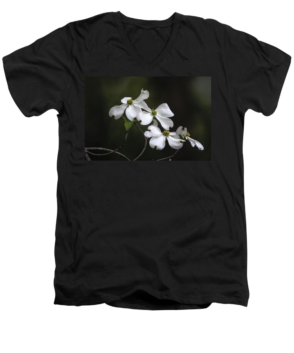 Dogwood Men's V-Neck T-Shirt featuring the photograph Early This Year by Albert Seger