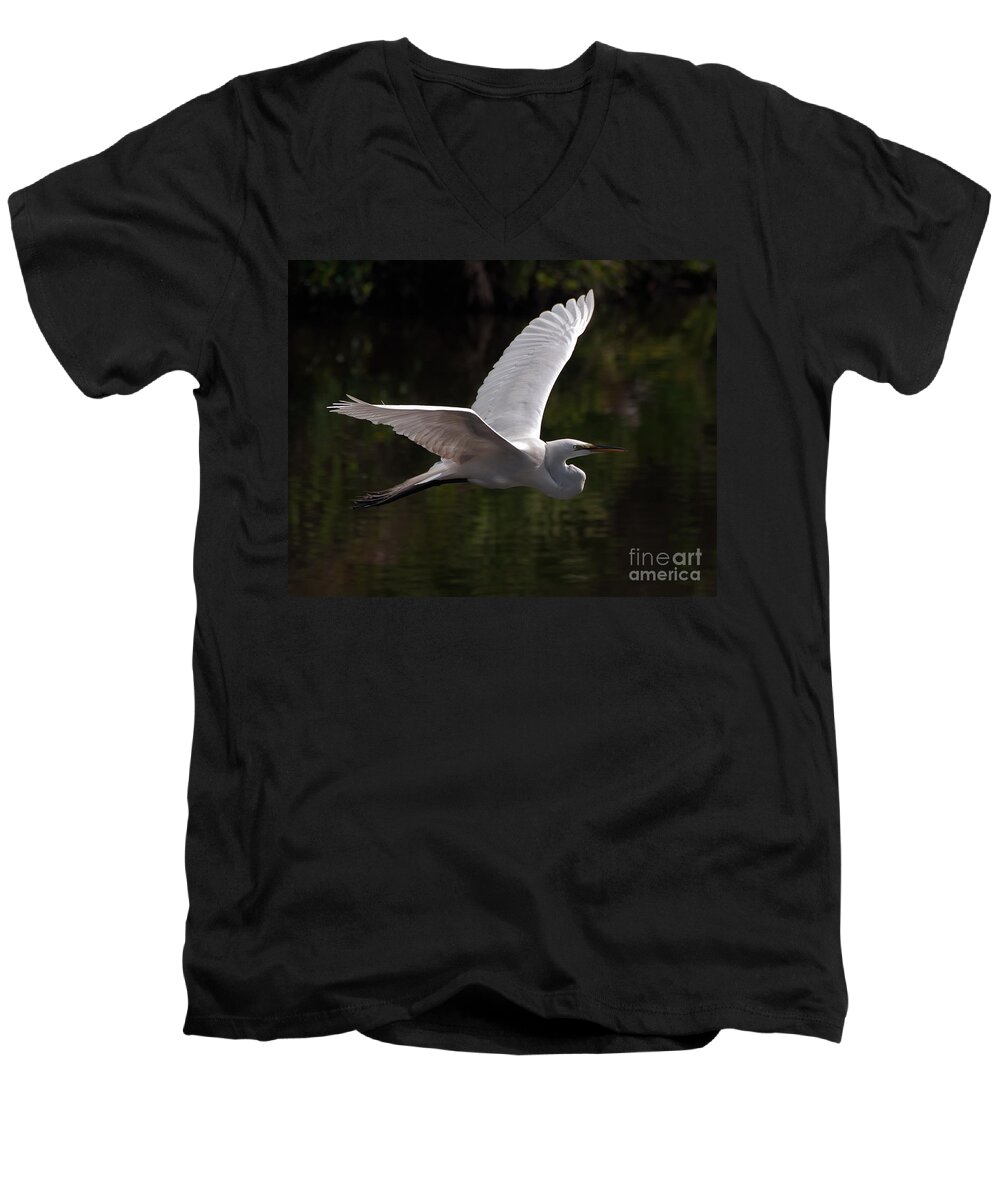 Egret Men's V-Neck T-Shirt featuring the photograph Great Egret flying by Art Whitton