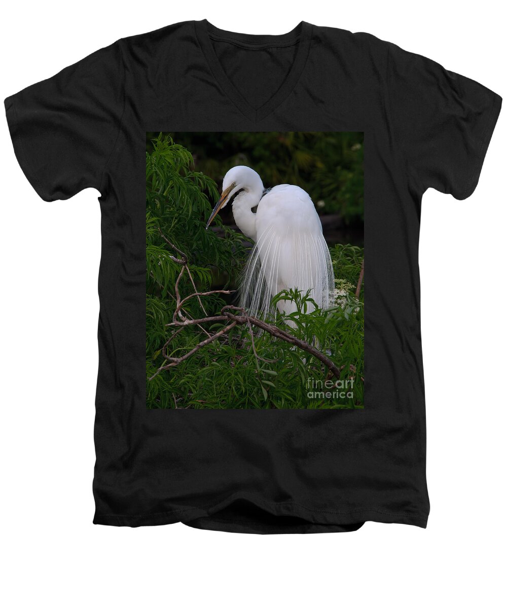 Egret Men's V-Neck T-Shirt featuring the photograph Great Egret Nesting by Art Whitton