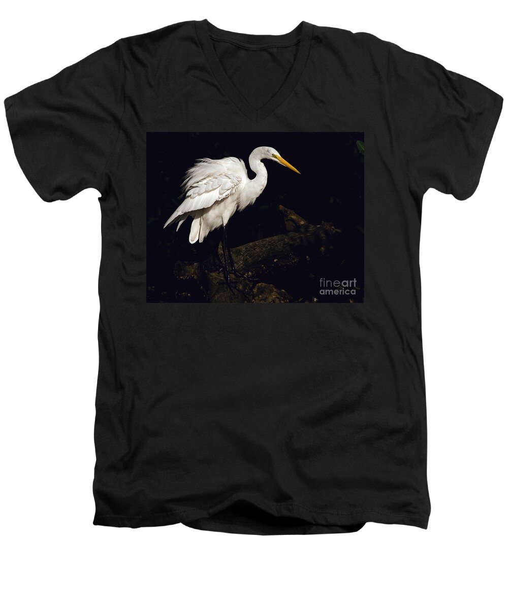 Great Egret Men's V-Neck T-Shirt featuring the photograph Great Egret Ruffles His Feathers by Art Whitton