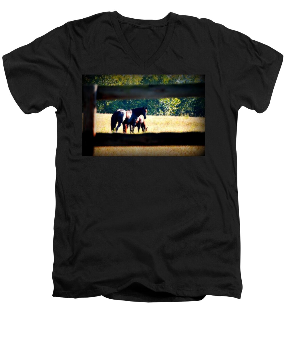 Horse Men's V-Neck T-Shirt featuring the photograph Horse Photography by Peggy Franz