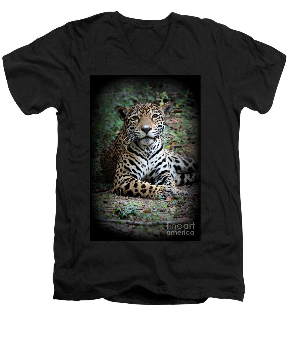 Jaguar Photo Men's V-Neck T-Shirt featuring the photograph Jaguar Portrait by Kathy White