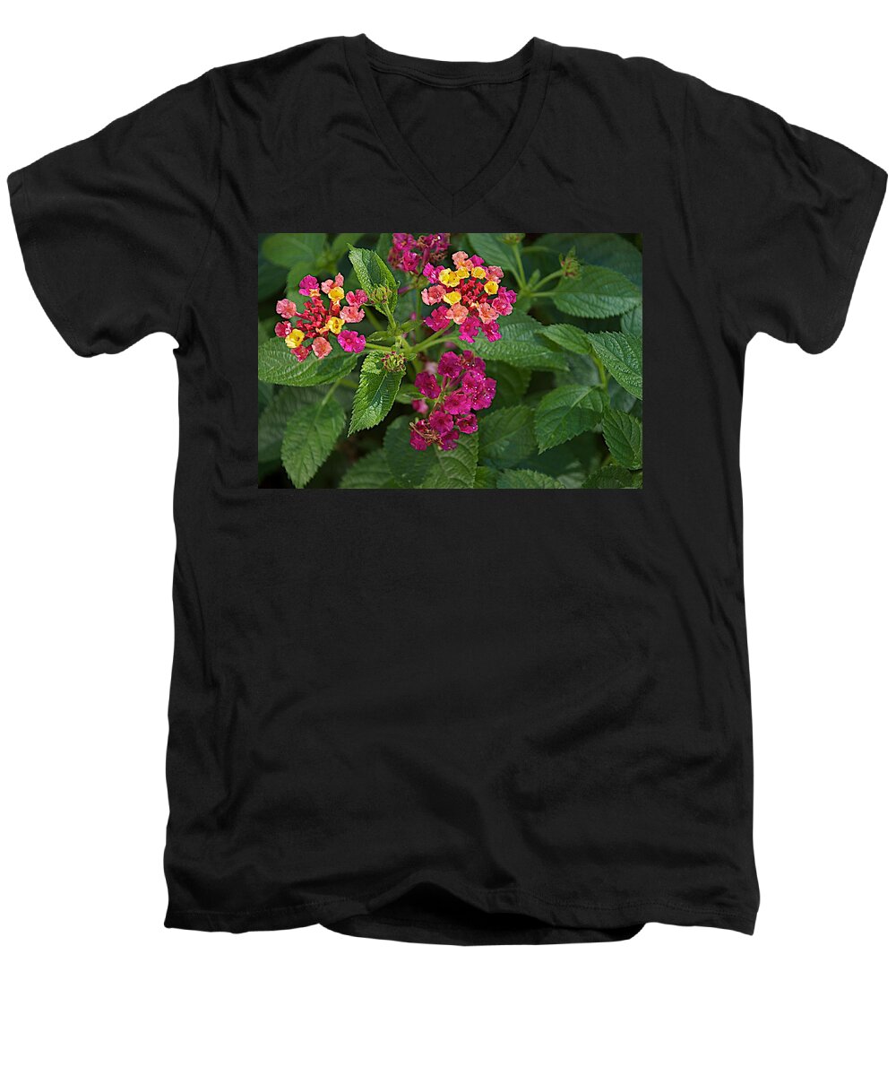 Flower Men's V-Neck T-Shirt featuring the photograph Lantana by Joseph Yarbrough