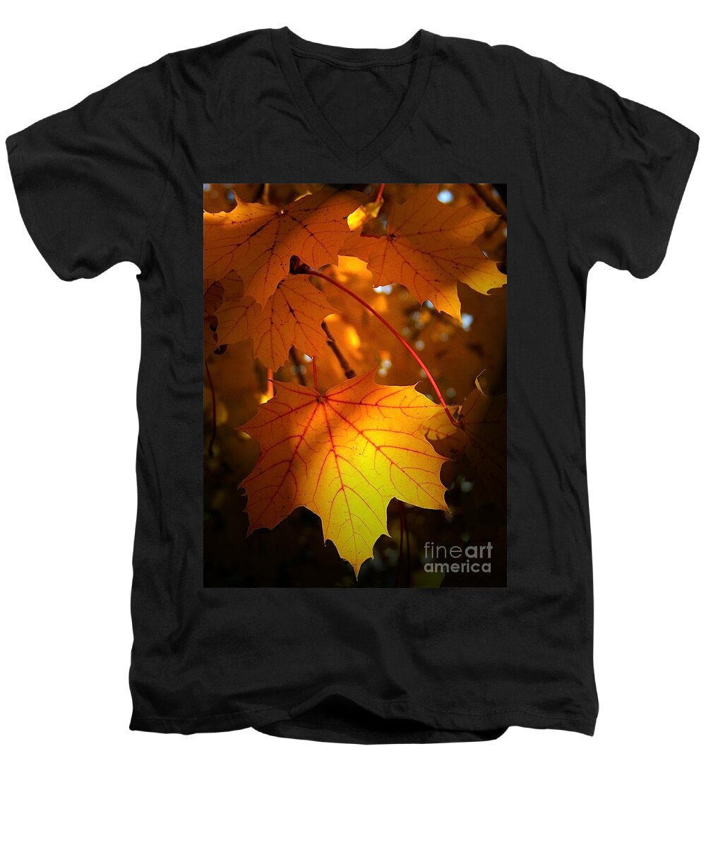 Color Photography Men's V-Neck T-Shirt featuring the photograph Maple At First Light by Sue Stefanowicz
