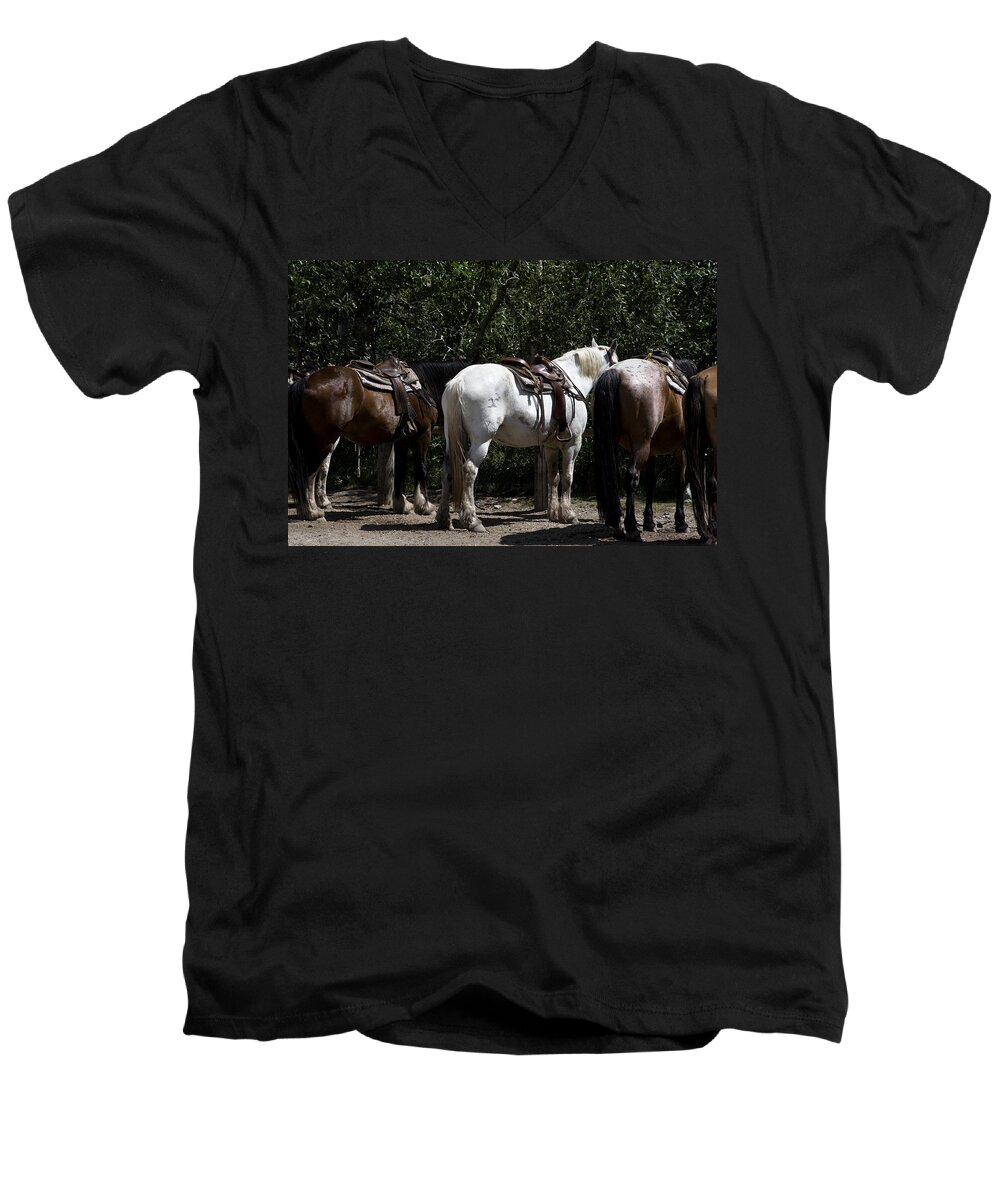Trail Horses Men's V-Neck T-Shirt featuring the photograph One White Trail Horse by Lorraine Devon Wilke