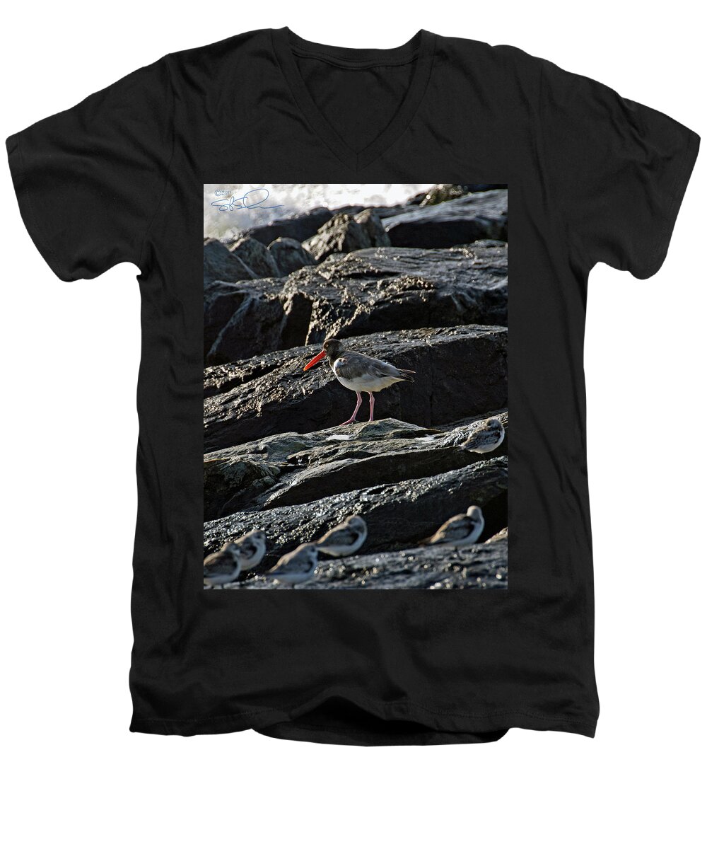 Oyster Catcher Men's V-Neck T-Shirt featuring the photograph Oyster on the Rocks by S Paul Sahm