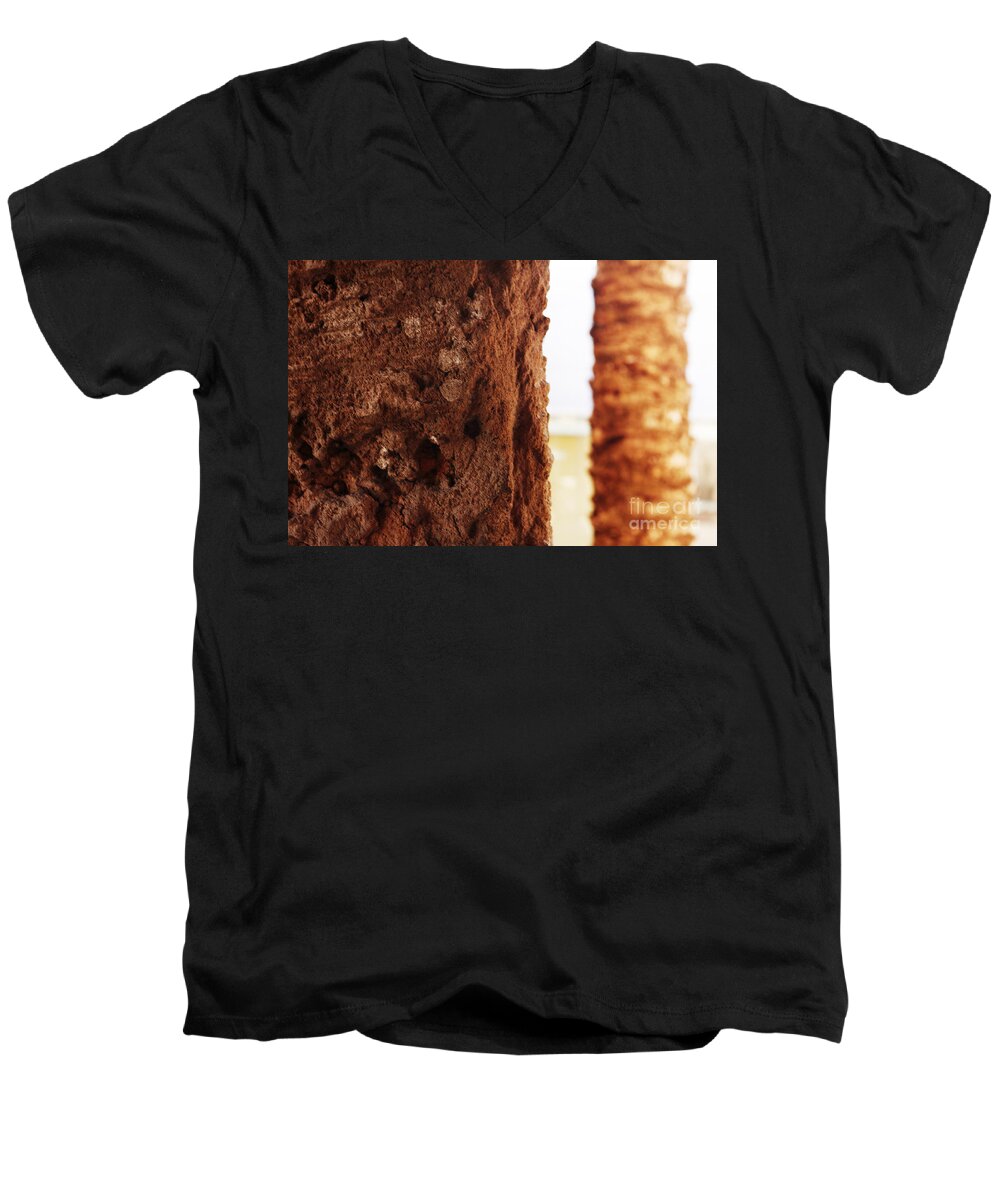Palmera Men's V-Neck T-Shirt featuring the photograph Palm and wall 2 by Agusti Pardo Rossello