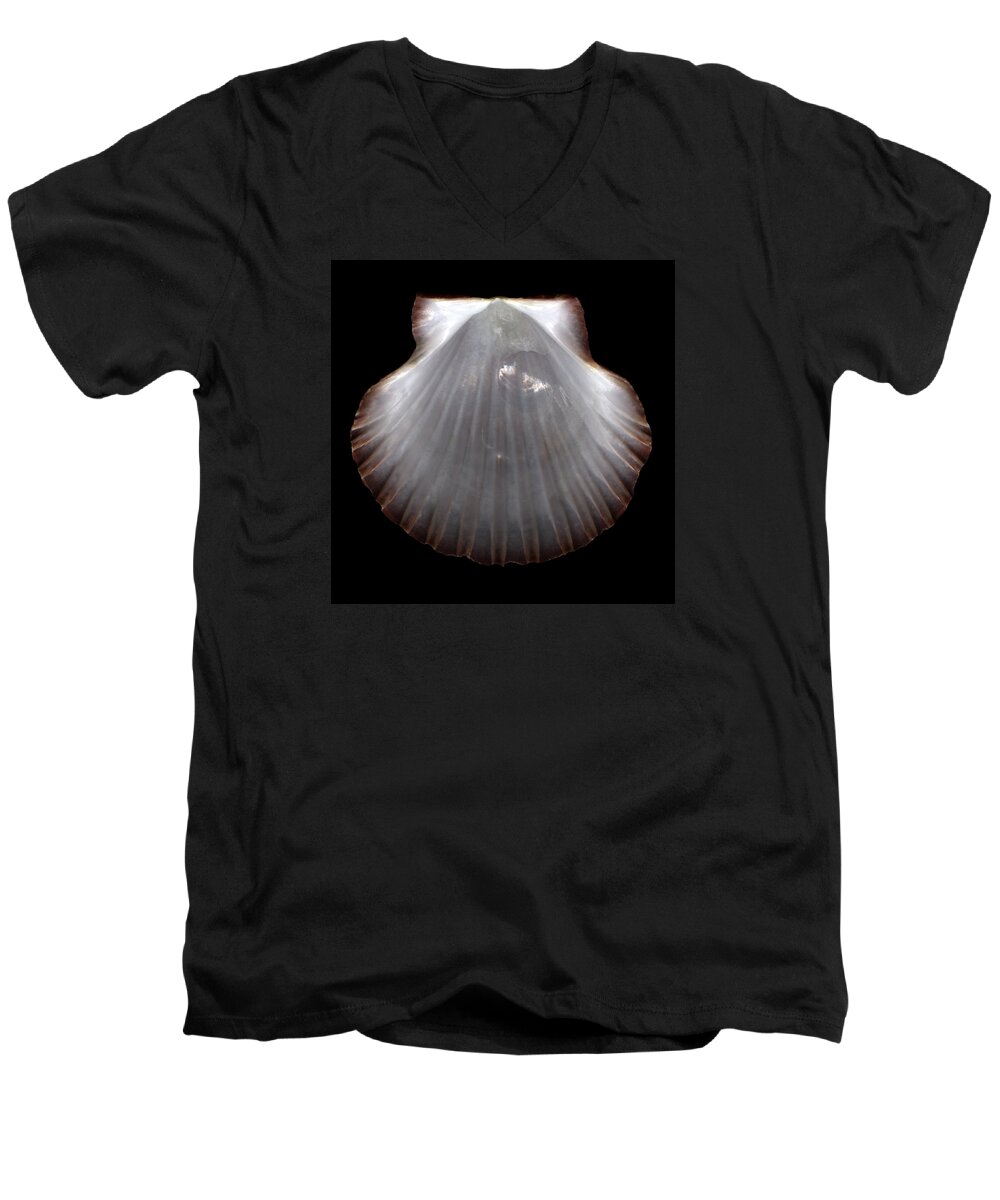 Pearlescent Men's V-Neck T-Shirt featuring the photograph Pearlescent Shell by David Kleinsasser