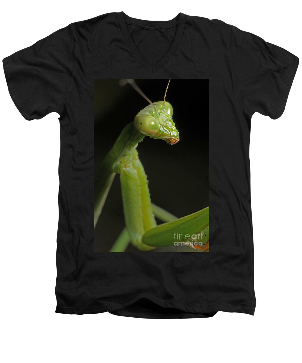Praying Mantis Men's V-Neck T-Shirt featuring the photograph Praying Mantis by Art Whitton