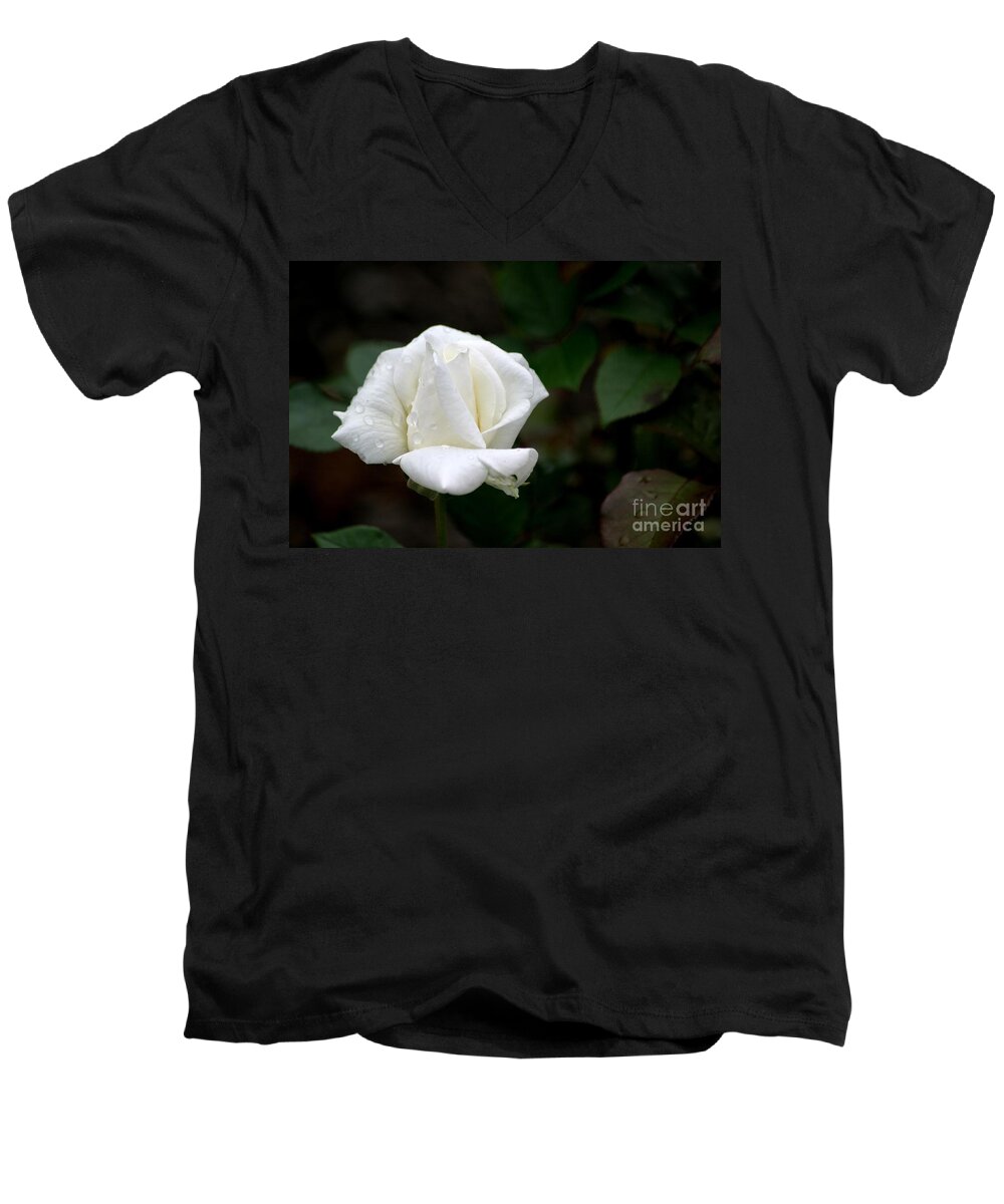 White Men's V-Neck T-Shirt featuring the photograph Pure As Snow by Living Color Photography Lorraine Lynch