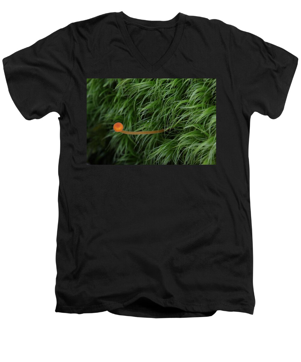 Nature Men's V-Neck T-Shirt featuring the photograph Small Orange Mushroom In Moss by Daniel Reed