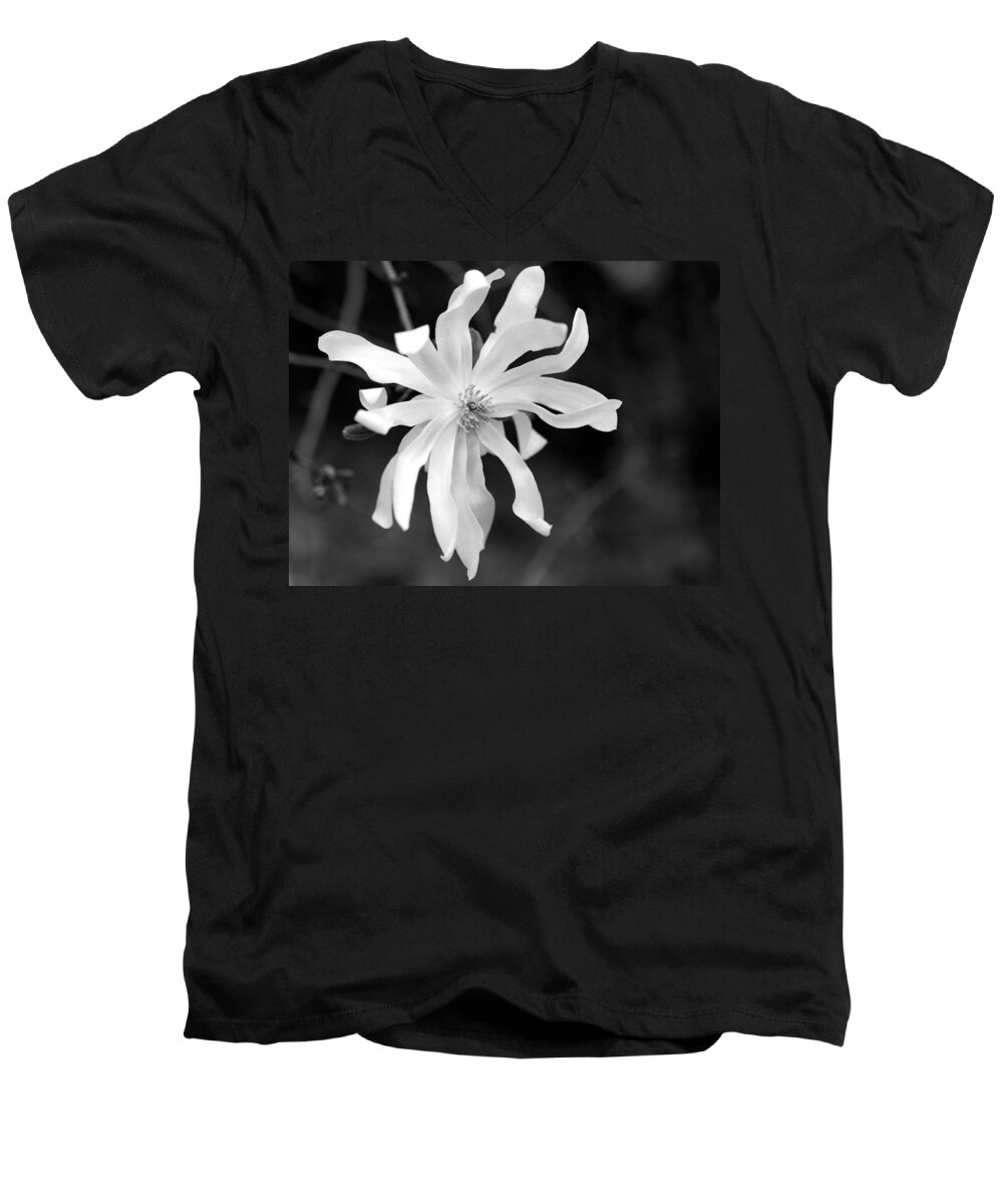 Star Magnolia Men's V-Neck T-Shirt featuring the photograph Star Magnolia by Lisa Phillips