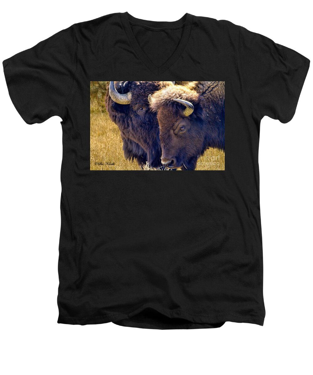 American Buffalo Men's V-Neck T-Shirt featuring the photograph Sweet Nothings by Sue Karski