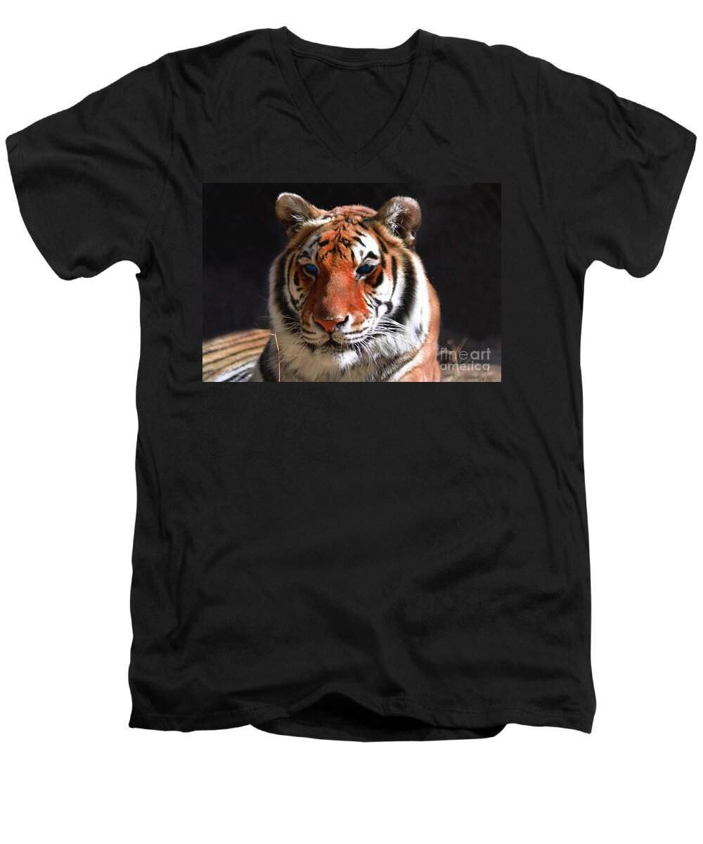 Tiger Men's V-Neck T-Shirt featuring the photograph Tiger Blue Eyes by Rebecca Margraf