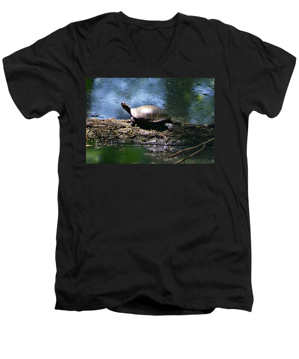 Horn Pond Men's V-Neck T-Shirt featuring the photograph Turtle I by Joe Faherty