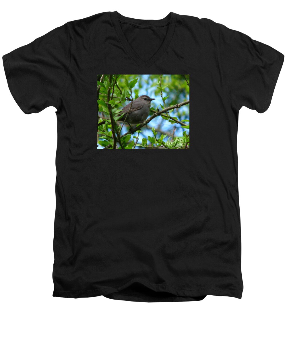 Bird Men's V-Neck T-Shirt featuring the photograph pretty in Tennessee by Lani Richmond Elvenia
