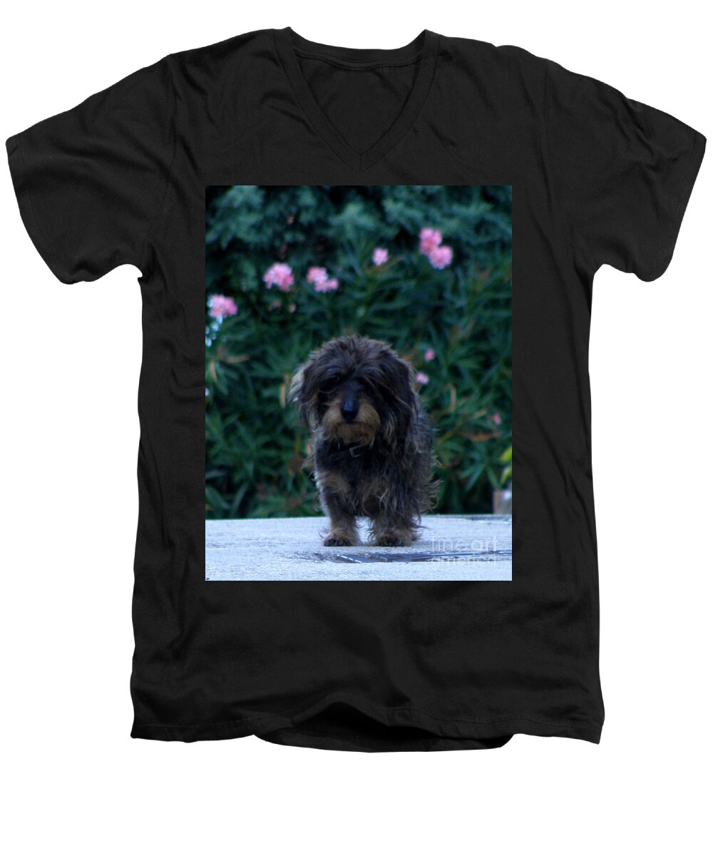 Dog Men's V-Neck T-Shirt featuring the photograph Waiting by Lainie Wrightson
