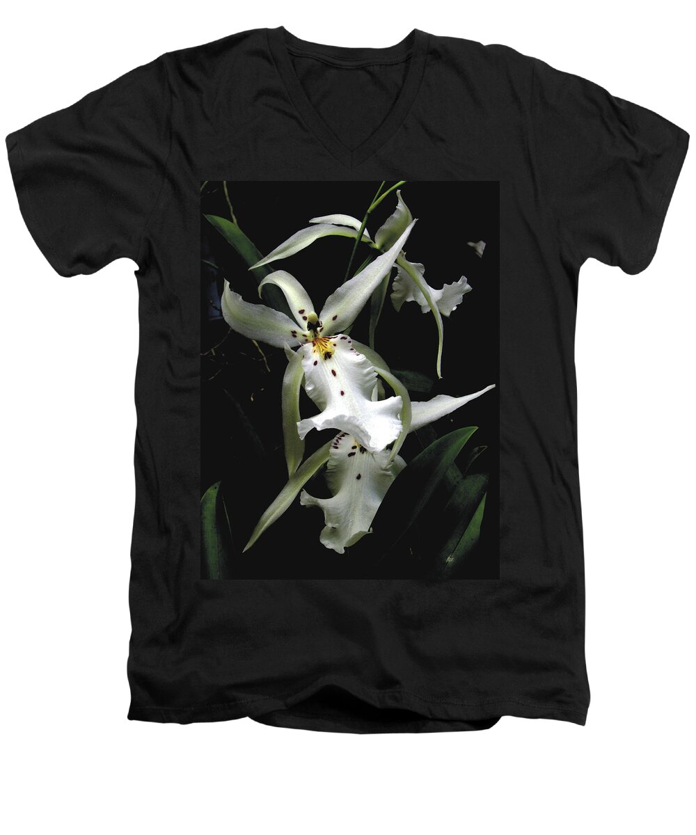 White Men's V-Neck T-Shirt featuring the photograph White orchid by Rudy Umans