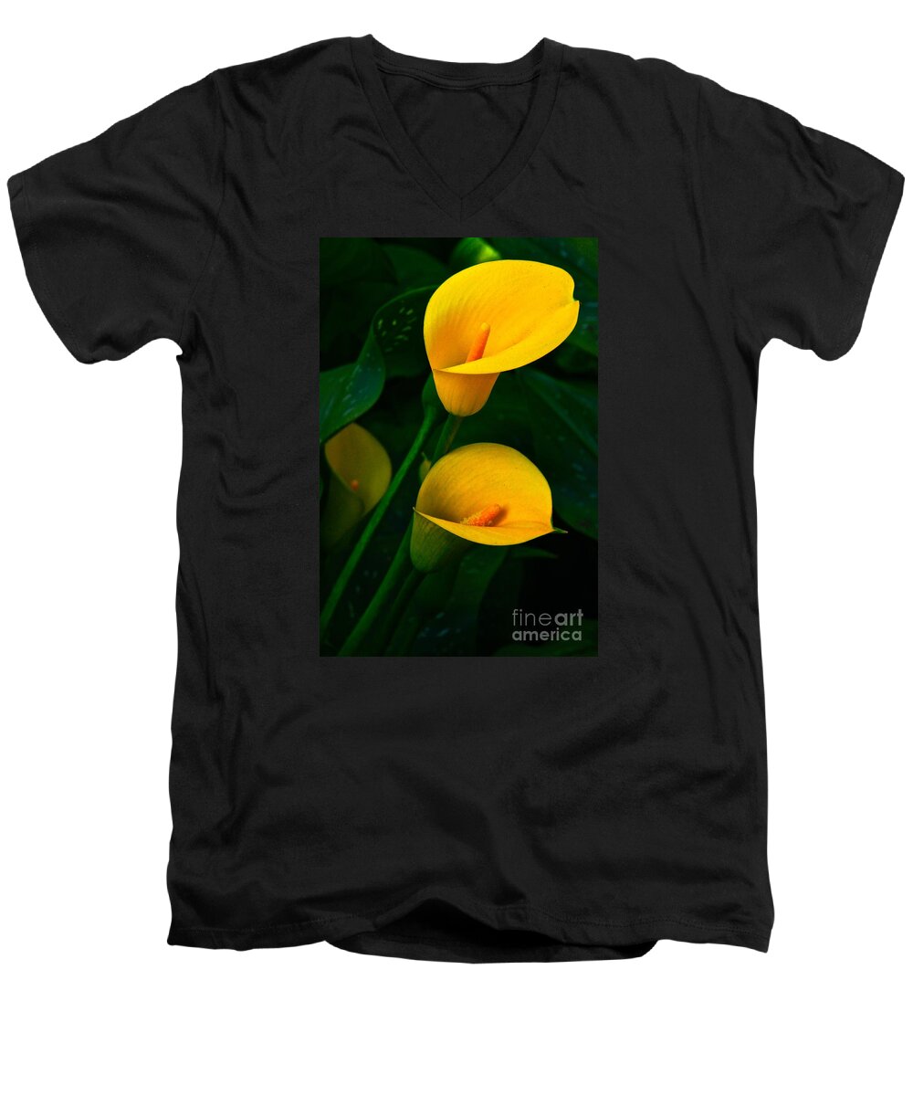 Lily Of The Nile Men's V-Neck T-Shirt featuring the photograph Yellow Calla Lilies by Byron Varvarigos