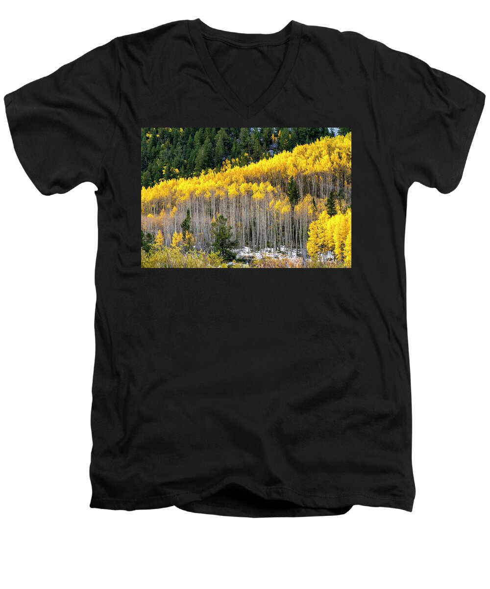 Aspen Trees Men's V-Neck T-Shirt featuring the photograph Aspen Trees in Fall Color #1 by Teri Virbickis