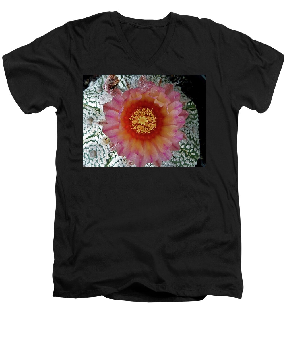 Cactus Men's V-Neck T-Shirt featuring the photograph Cactus Flower 5 #1 by Selena Boron
