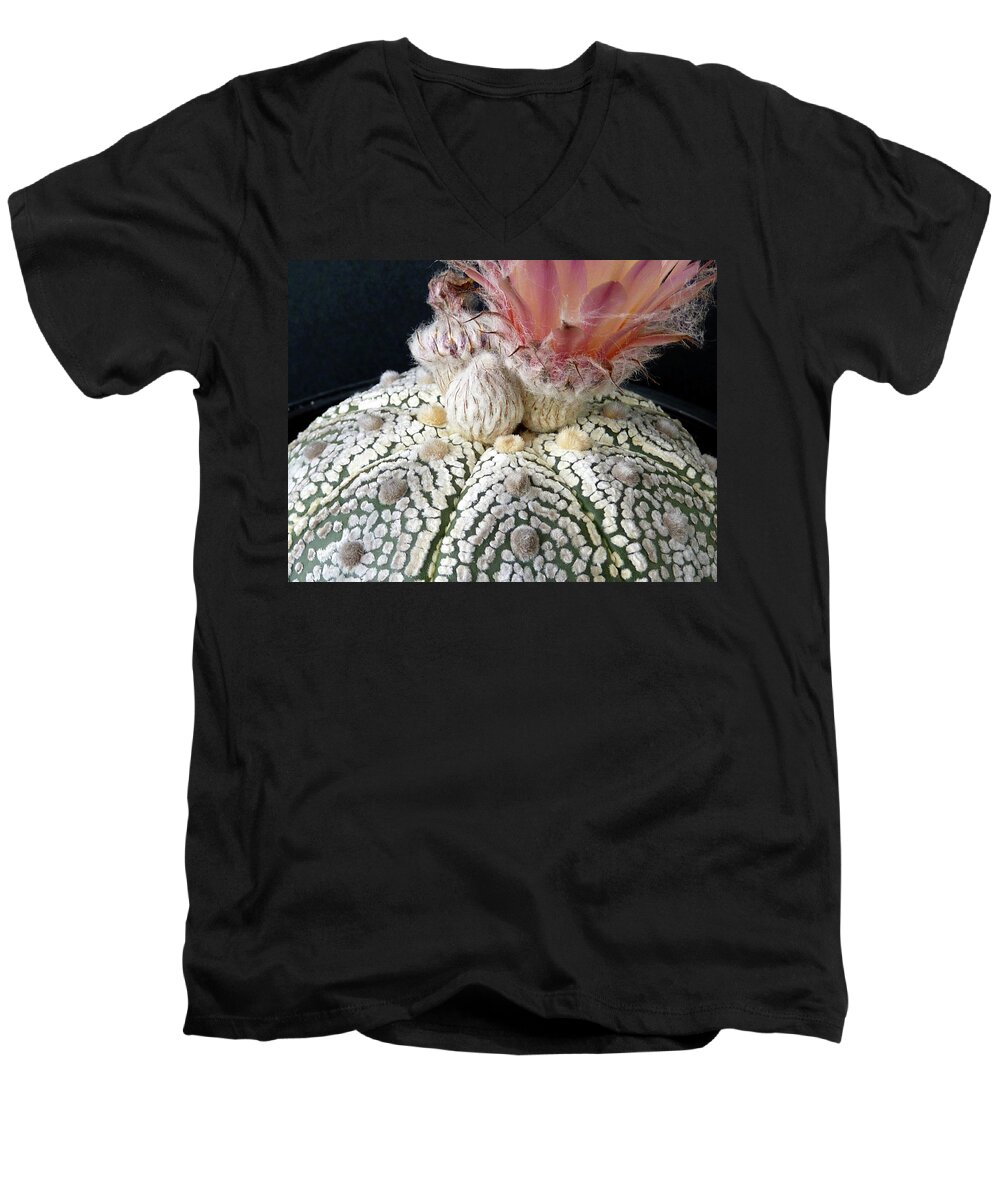 Cactus Men's V-Neck T-Shirt featuring the photograph Cactus Flower 6 #1 by Selena Boron
