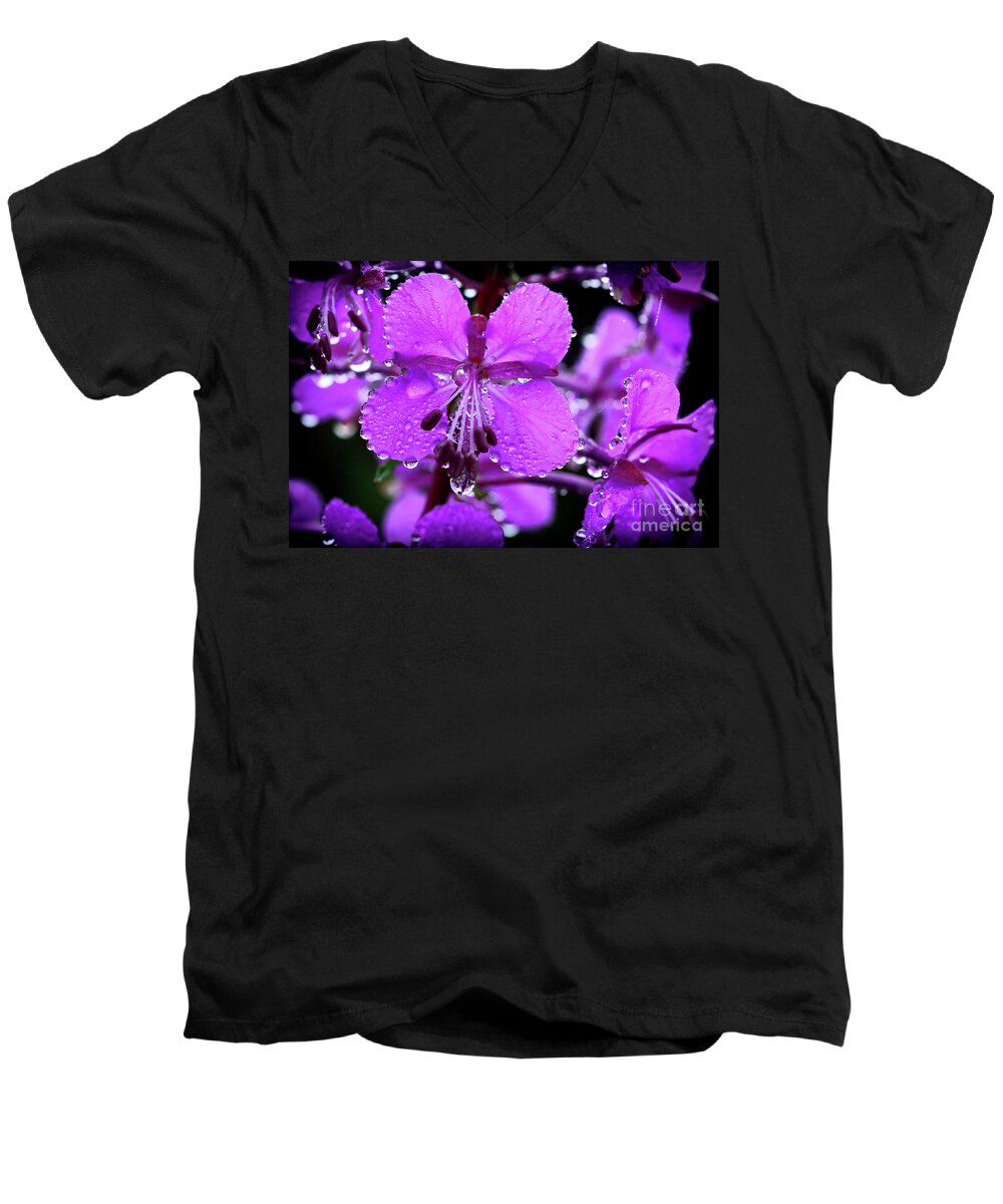 Summer Men's V-Neck T-Shirt featuring the photograph Fireweed with Dew #1 by Thomas R Fletcher
