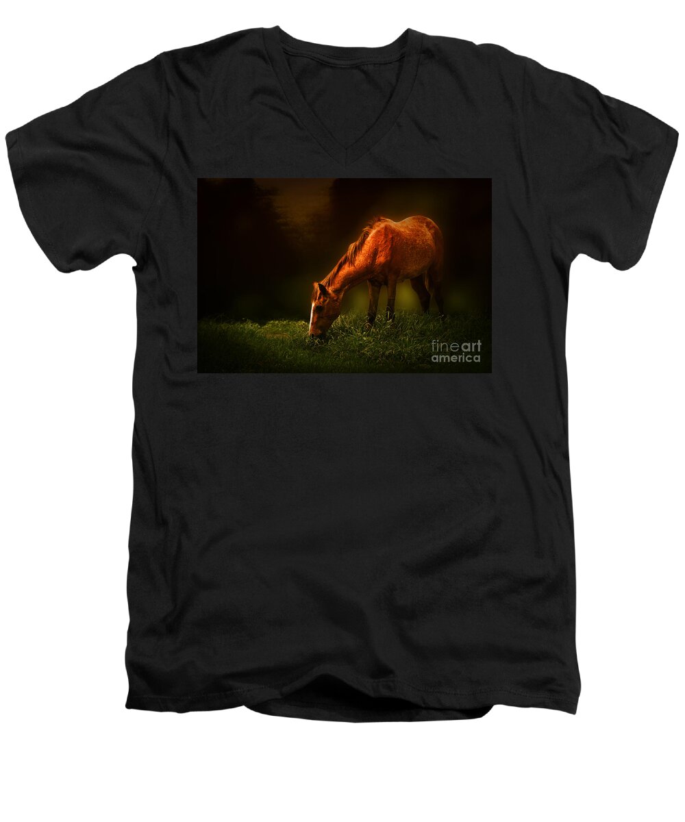 Horse Men's V-Neck T-Shirt featuring the photograph Grazing #2 by Charuhas Images