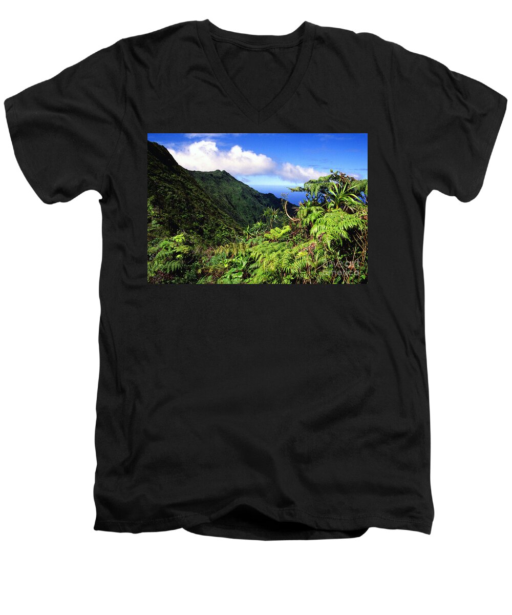 Hapu Tree Ferns Men's V-Neck T-Shirt featuring the photograph Koolau Summit Trail #4 by Thomas R Fletcher