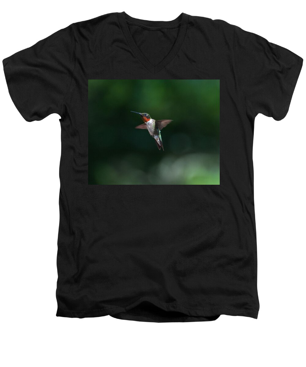 Hummers Men's V-Neck T-Shirt featuring the photograph Male Ruby Throated Hummingbird #1 by Brenda Jacobs