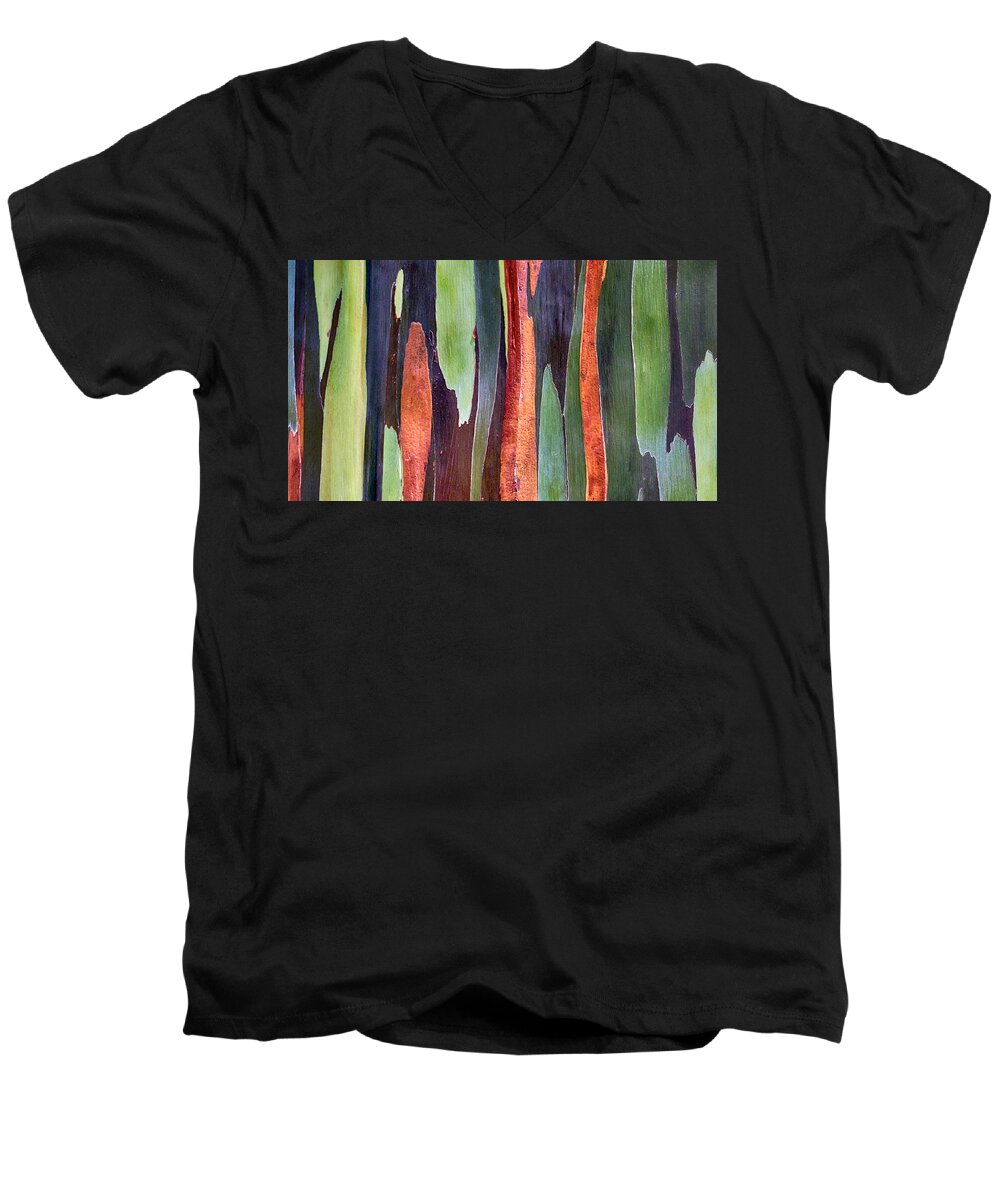 Rainbow Eucalyptus Men's V-Neck T-Shirt featuring the photograph Rainbow Eucalyptus #2 by Susan Rissi Tregoning