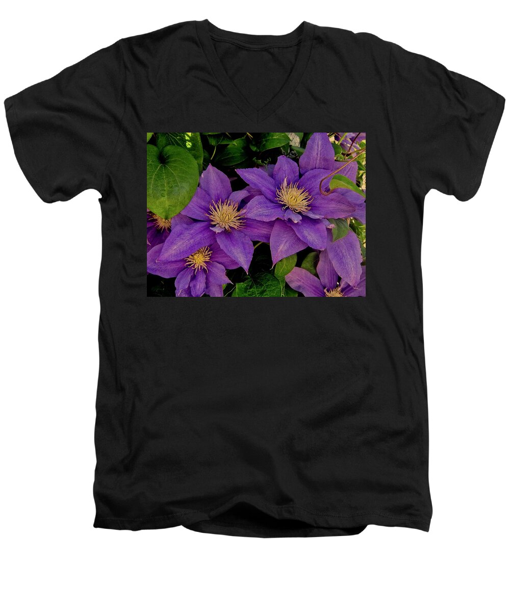 Clematis Men's V-Neck T-Shirt featuring the photograph Sirens' Song #1 by Elizabeth Tillar