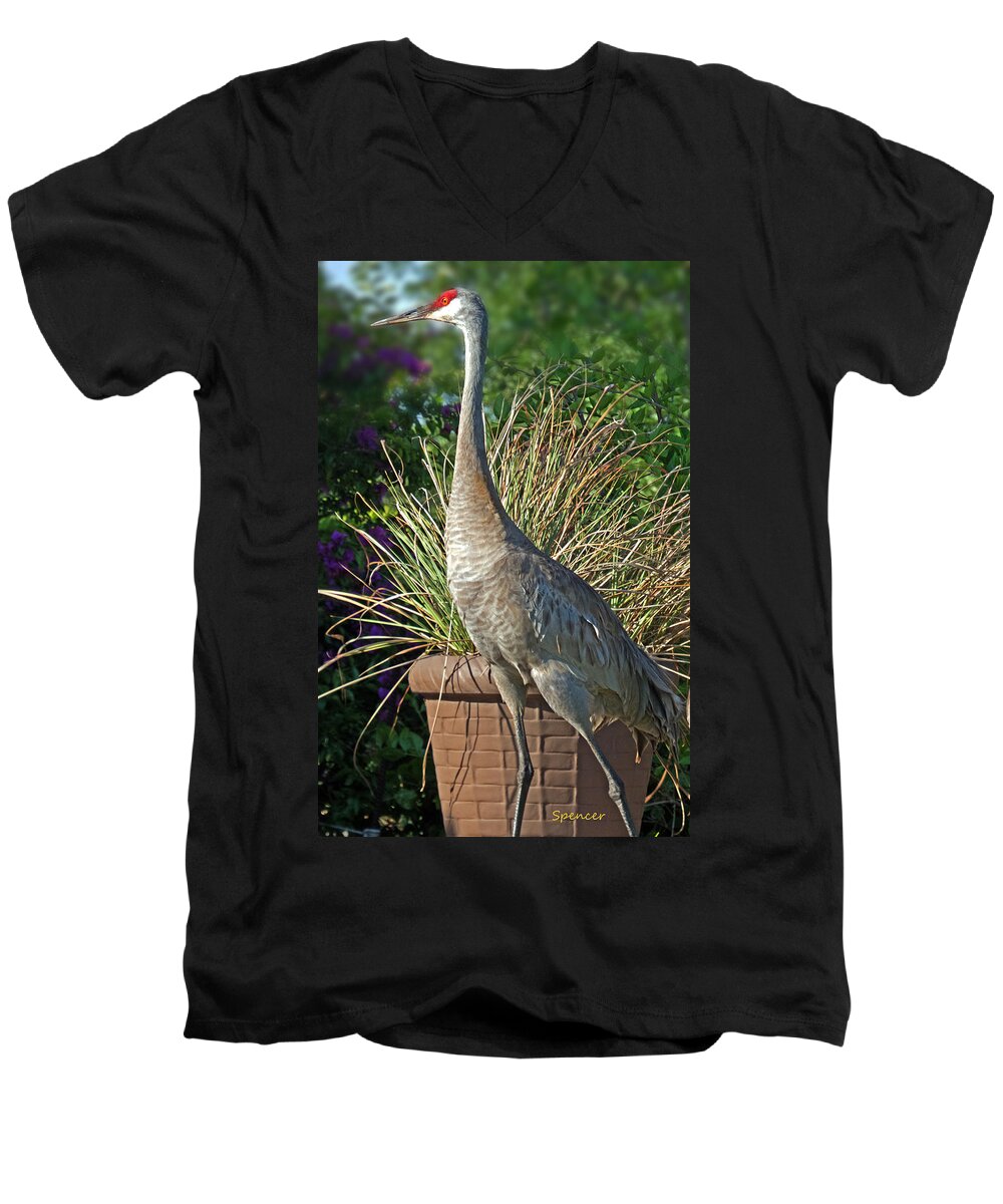 Sandhill Men's V-Neck T-Shirt featuring the photograph Standing Tall #1 by T Guy Spencer