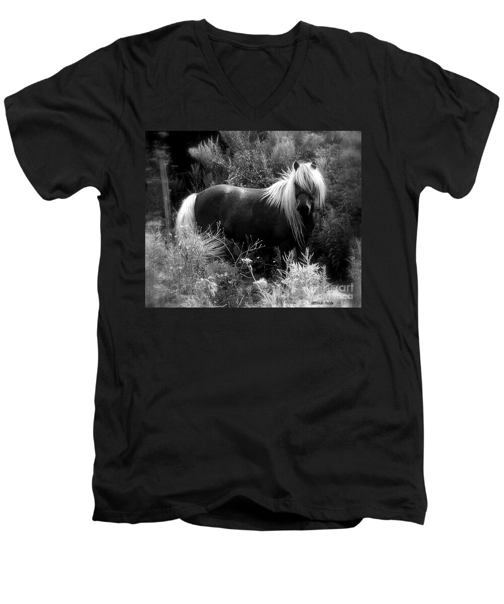 Horse Men's V-Neck T-Shirt featuring the photograph Vanity #2 by Elfriede Fulda