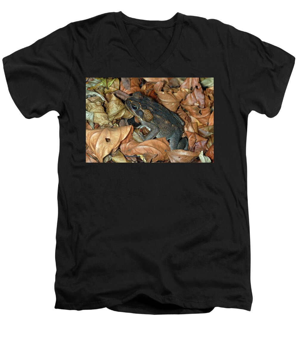 Bufo Marinos Men's V-Neck T-Shirt featuring the photograph Cane Toad #2 by Breck Bartholomew