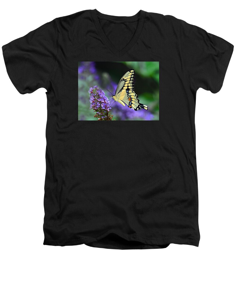 Giant Swallowtail Men's V-Neck T-Shirt featuring the photograph Giant Swallowtail #2 by Rodney Campbell