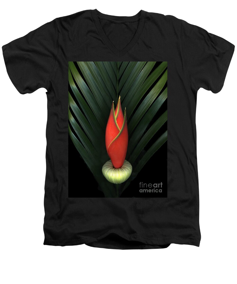 Scanart Men's V-Neck T-Shirt featuring the photograph Palm of Fire by Christian Slanec